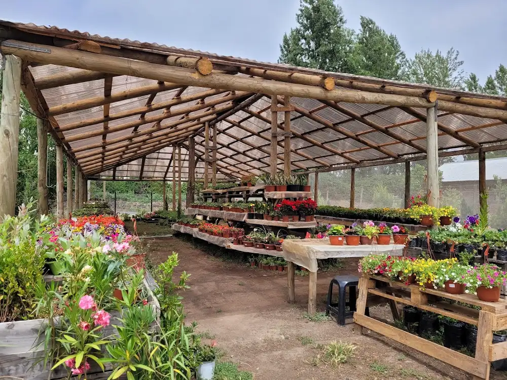Mesas del invernadero de Vivero y Jardín Los Gomeros con plantas en macetero