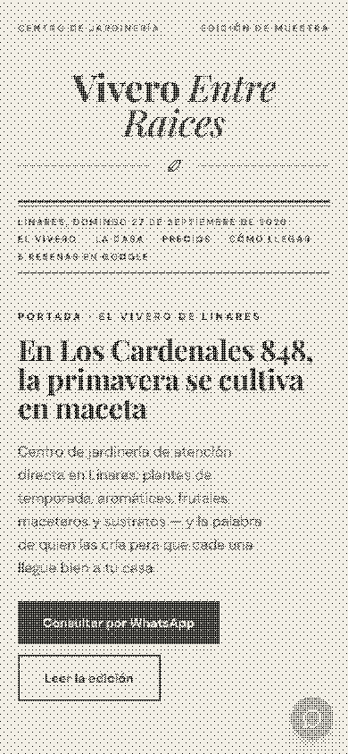 Primer pantallazo en celular del demo de Vivero Entre Raices