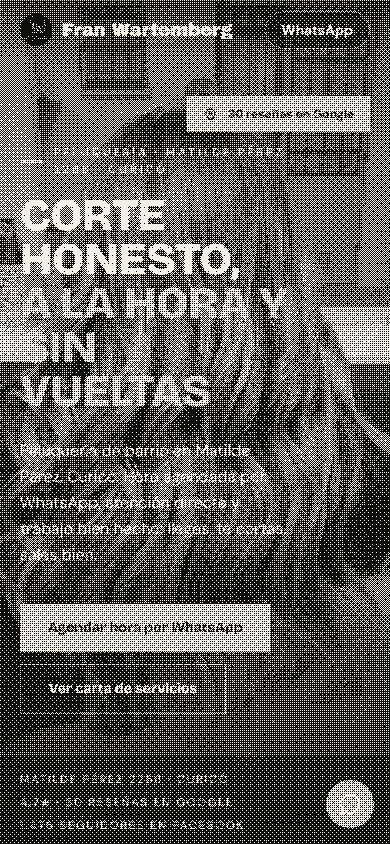 Primer pantallazo en celular del demo de Peluquería Fran Wartemberg