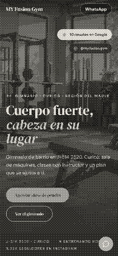 Primer pantallazo en celular del demo de MY Fusion Gym