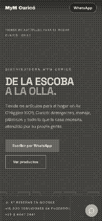 Primer pantallazo en celular del demo de Distribuidora MyM Curicó