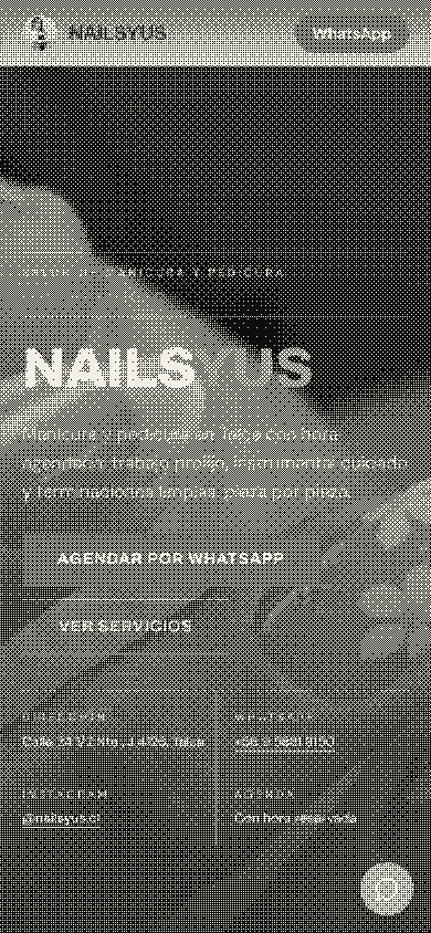 Primer pantallazo en celular del demo de NAILSYUS